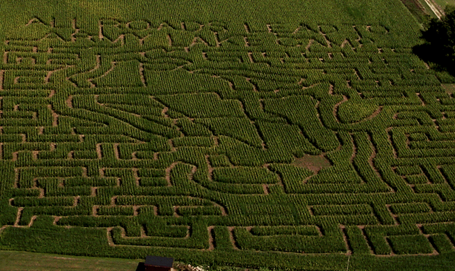 Corn maze returns through Oct. 27