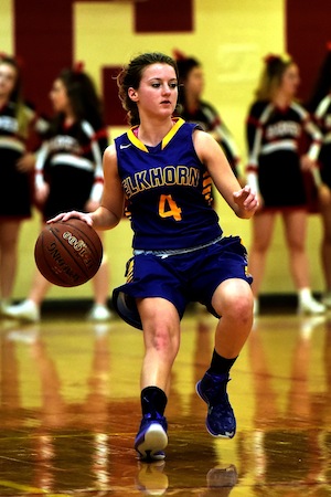 Badgers too much for Lady Elks