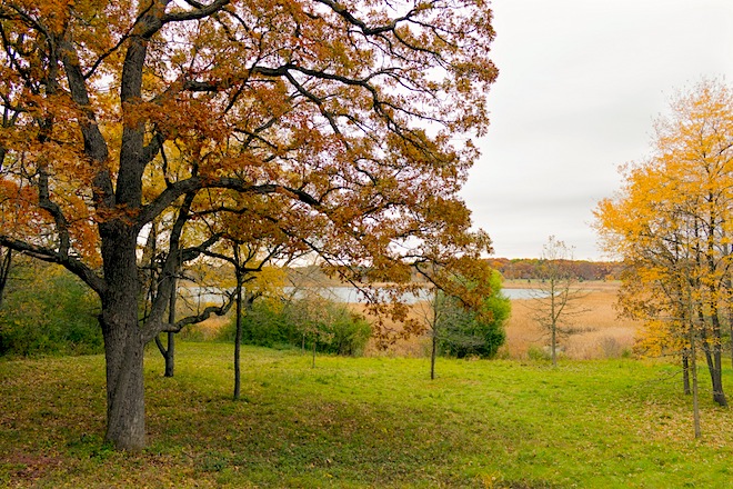 Pickerel Lake Fen Preserve  The Nature Conservancy in WI